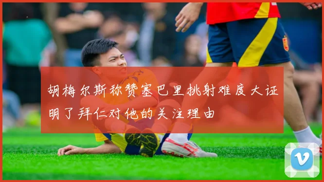 胡梅尔斯称赞塞巴里挑射难度大证明了拜仁对他的关注理由